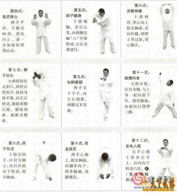 武当天罡拳十二式_运动_身体_轴心