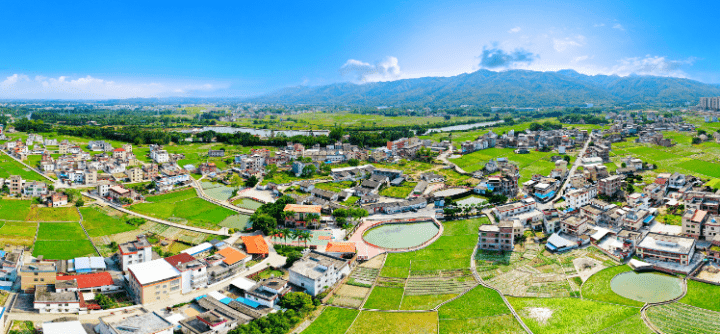 连平司前村:榕树下文明新风吹拂_村民_家训_红白理事会