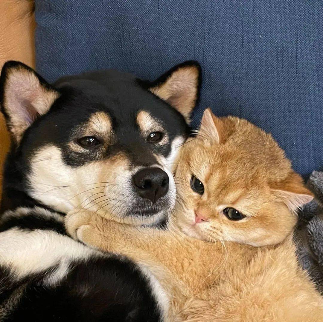 情头丨充满自信,不要弯腰驼背_cr_版权_整理