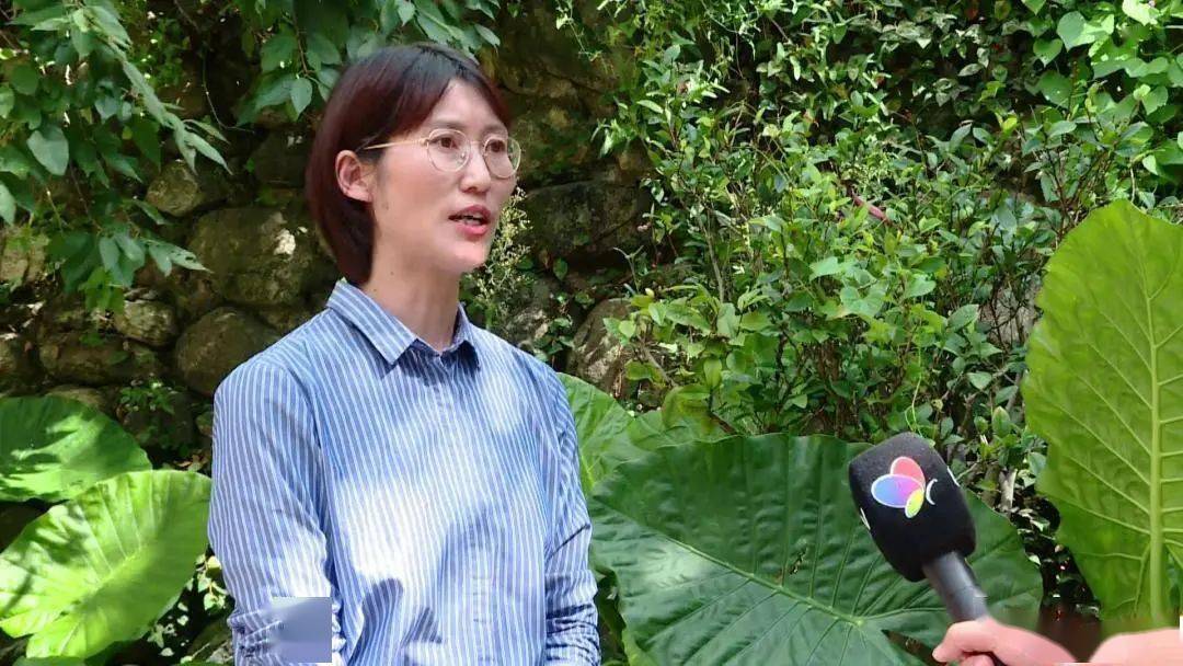 大理州商务局局长 王会琴构建咖啡之城的产业体系,加快大理咖啡主题