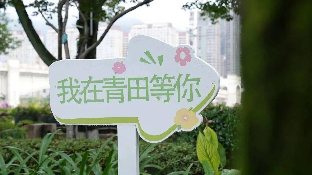 我在青田等你创意标语牌创意新颖,制作精美的设置安装了15处开放场所