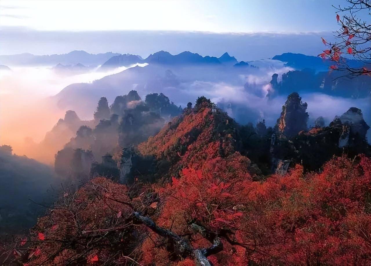 江西 庐山 -庐山的秋天像一幅泼墨画,层林尽染,姹紫嫣红,而且有一种