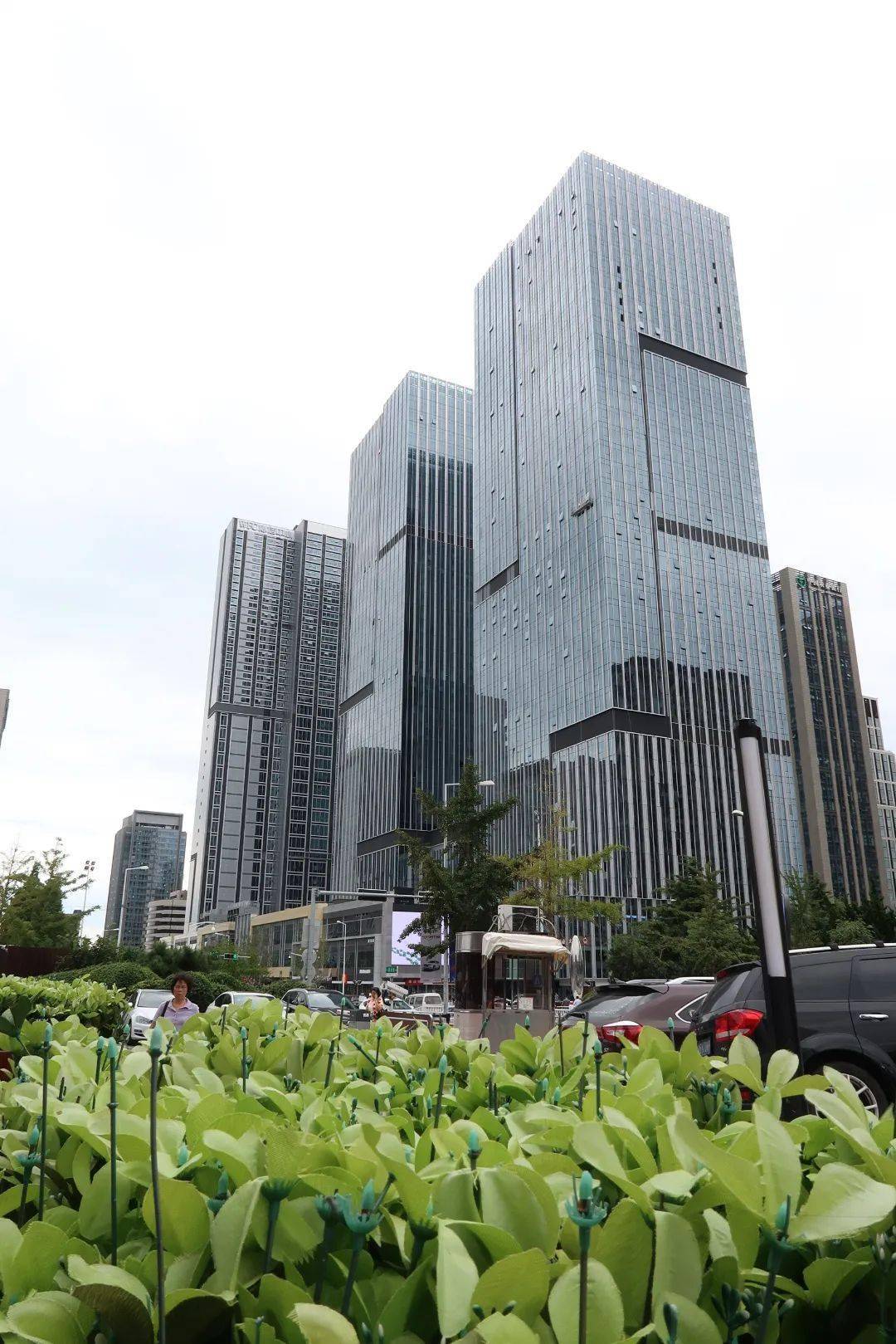 优秀企业巡礼 | 青岛东方监理有限公司_工程_山东省_建设