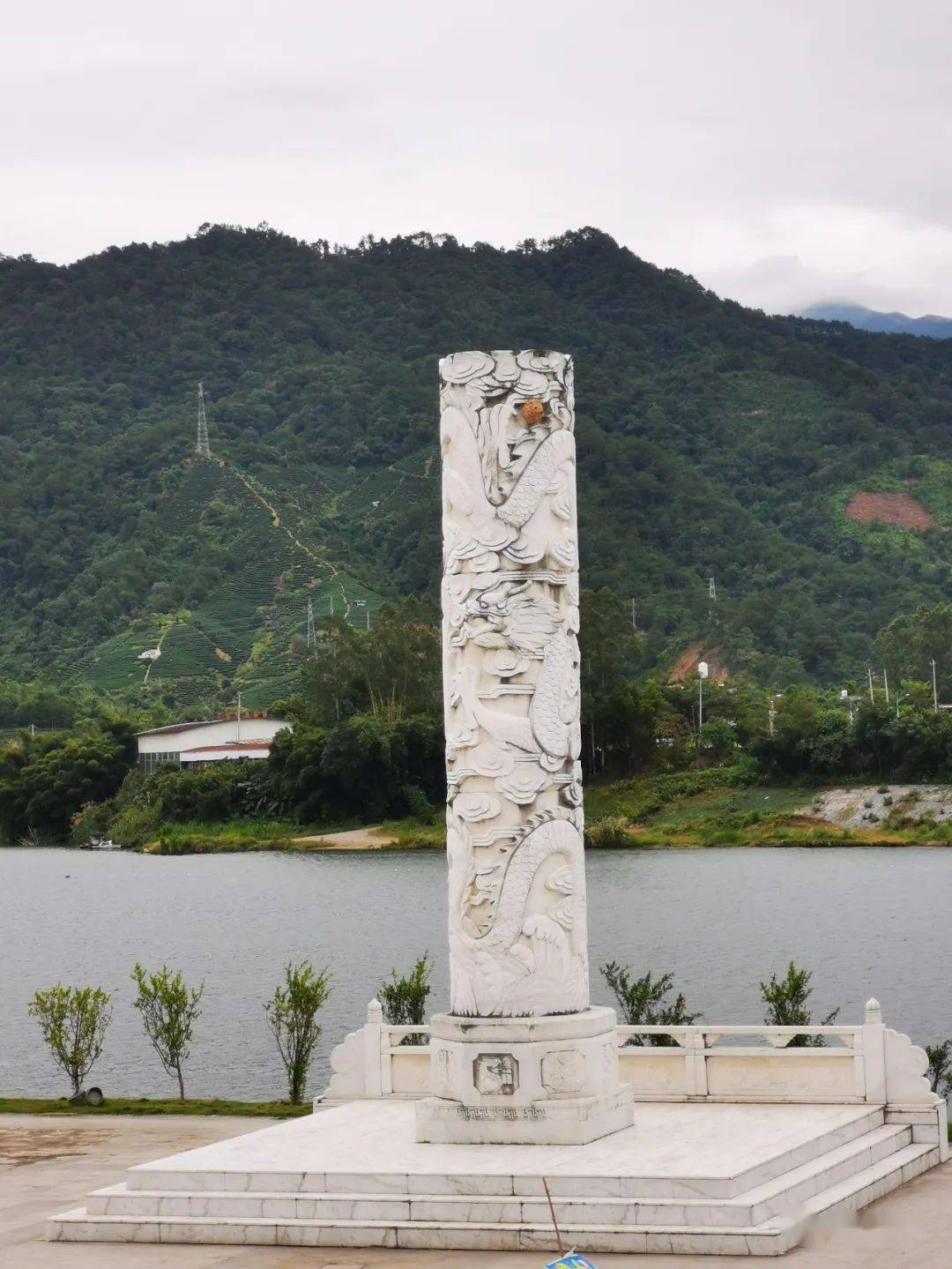 微友信息:昭平县城江滨公园龙柱上有一窝马蜂