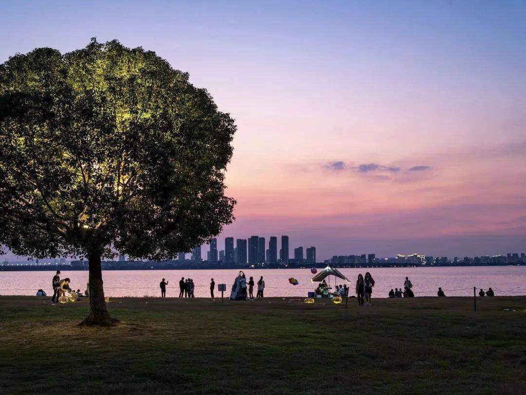 太亮了05→_网友_地点_太湖大道
