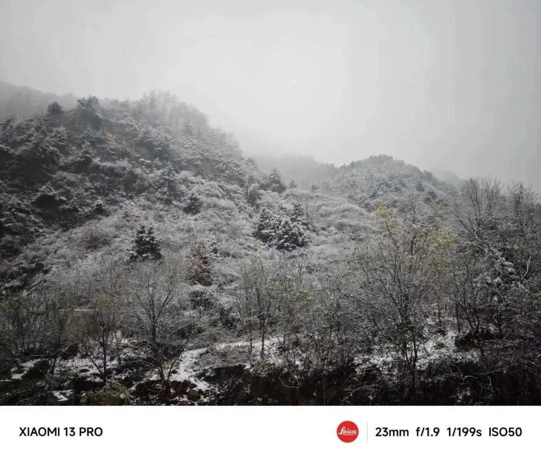 下雪了!鸡峰山开启雪景刷屏模式