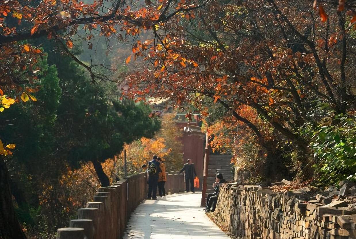 陕西铜川,这里有唐宋至今千年炉火不熄的耀州窑_香山_西安_历史