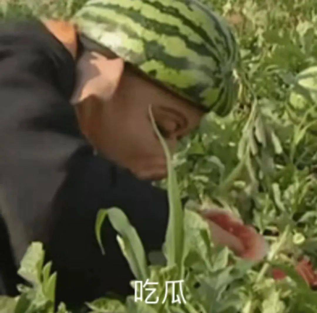 一问一答|张艺兴内涵蔡徐坤？龚俊投资方跑路？王源近况？鞠婧祎新戏？粉丝无脑维护明星？