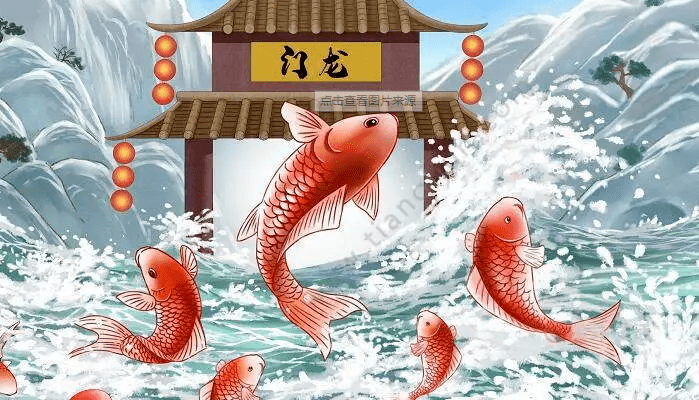 【第1787期】【阅读推广人在行动】(十七)金近《小鲤鱼跳龙门》_故事