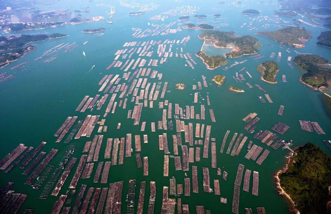 张晓冬_海岛_钦州