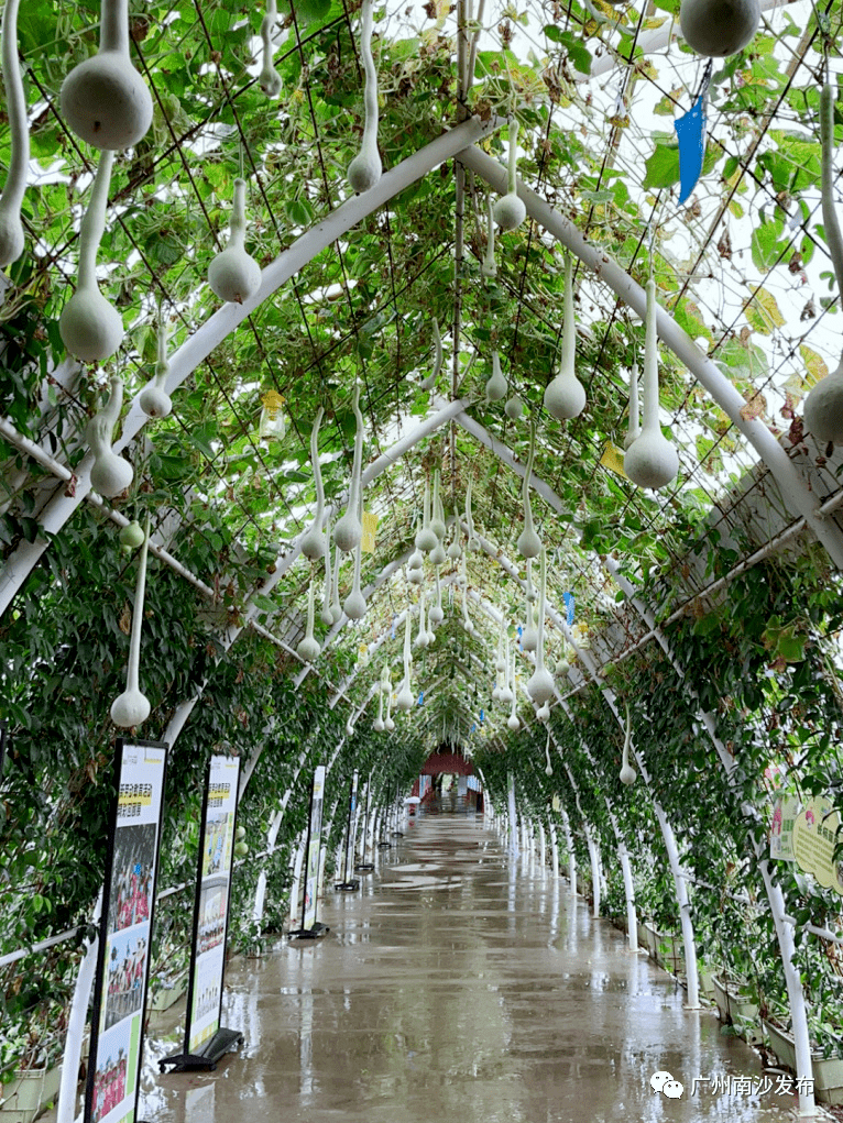 科普_农业_湿地