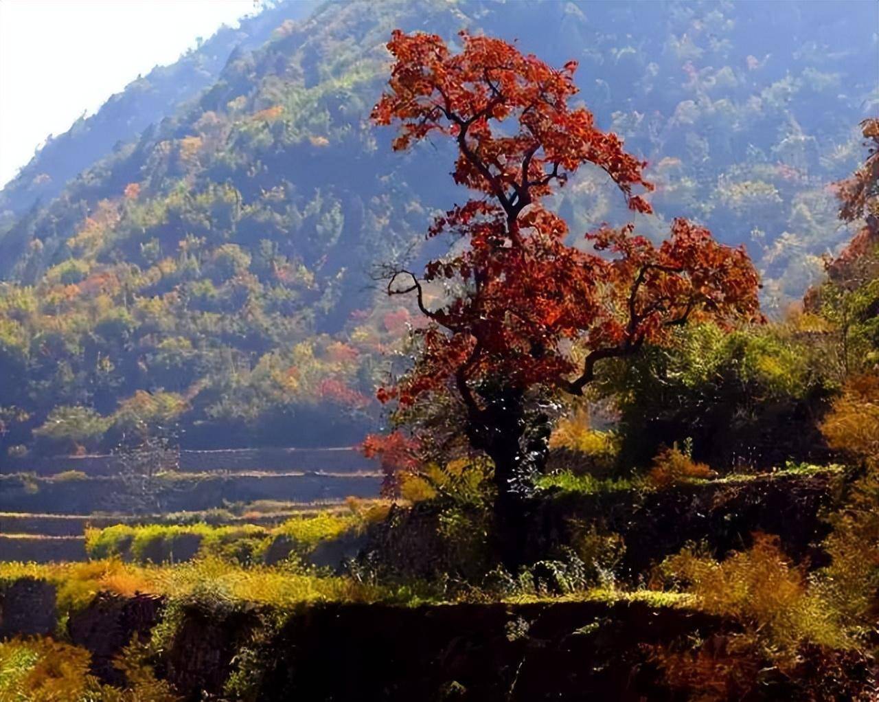 中国最美秋景图片