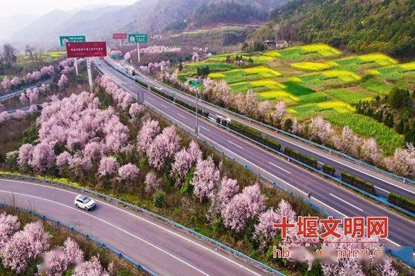 郧西县城关镇王家坪村:"红色土地"绽放文明之花