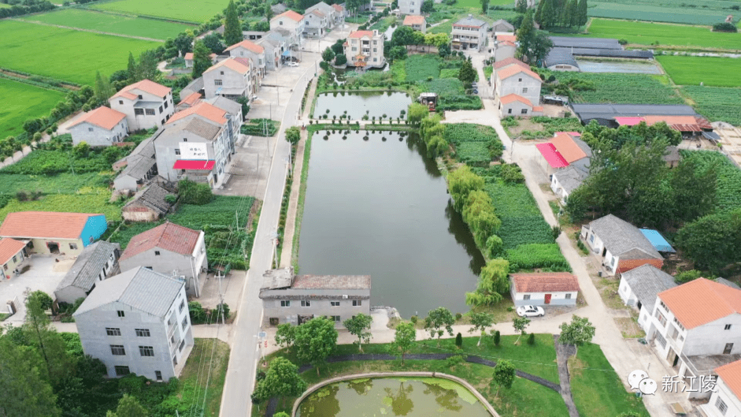 快来评选你心目中的"最美村庄"吧_湖村_管理区_社区