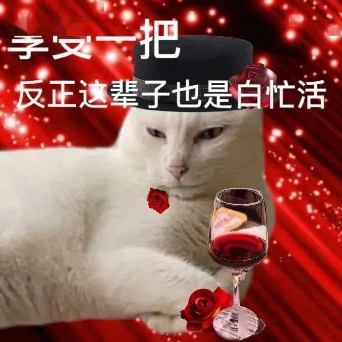 抖音热门表情包:尴尬死了_公众_il_熊猫头