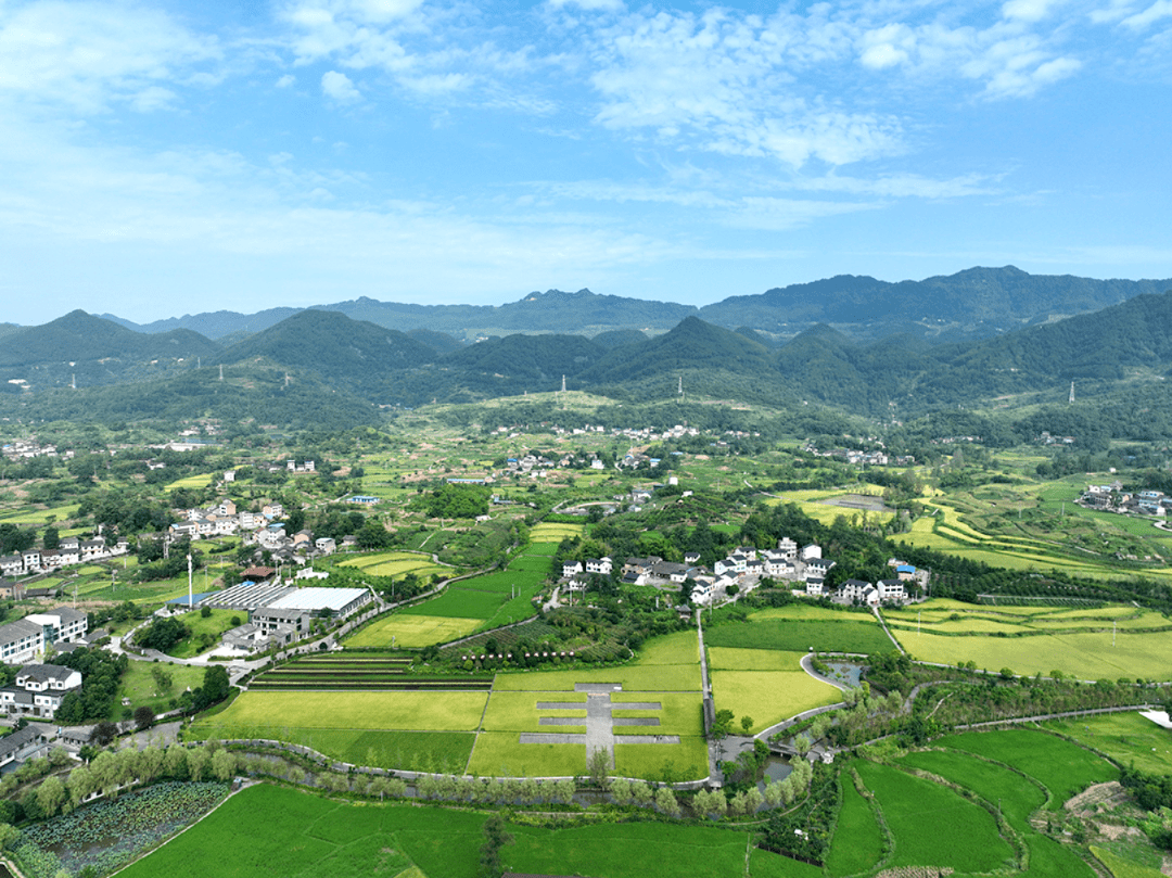 长寿这里入选"强镇带村"试点,是你家乡吗?