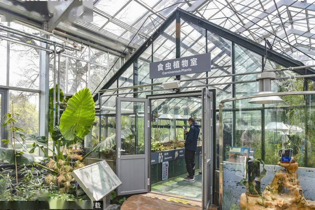 大阳山植物园温室图片