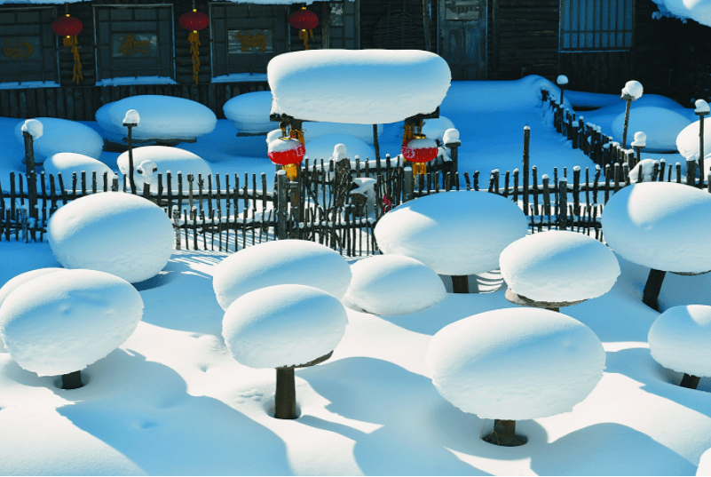 【全攻略】走啊，去雪乡旅游！请您查收这份出行旅游指南