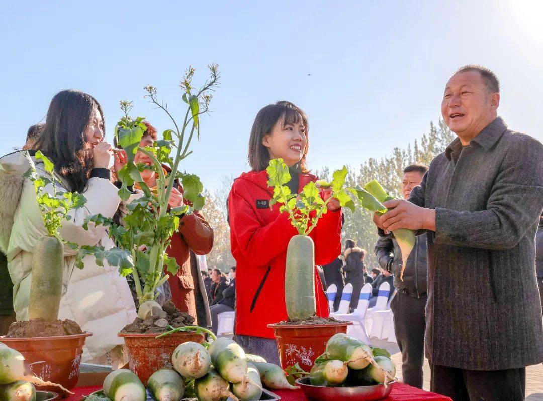 今天的沙窝萝卜文化旅游节您去没去?这些特色您可别错过