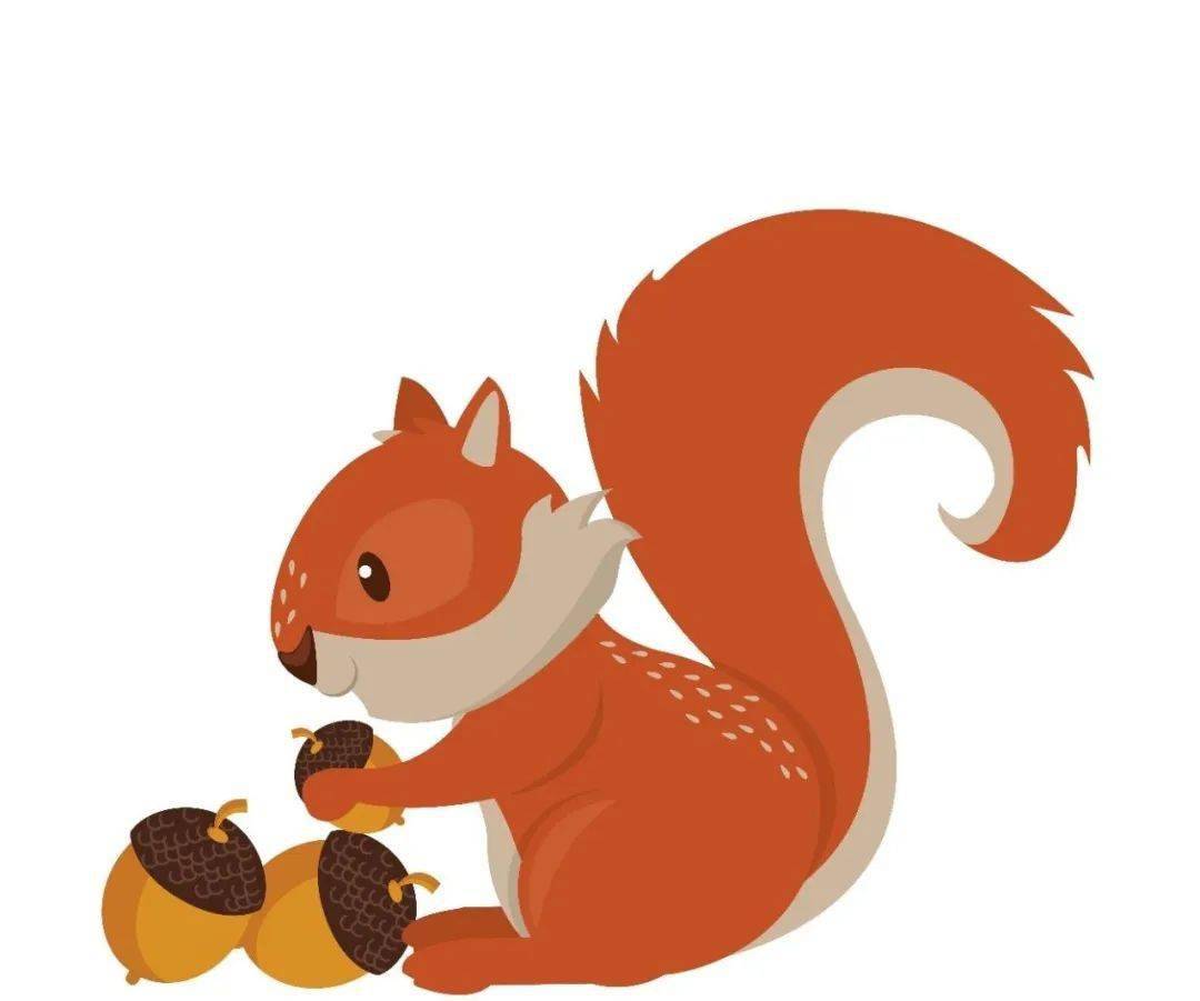 "玫城小巧手" |线上手工课堂--最爱橡果的小松鼠_一端_彩纸_石头剪刀