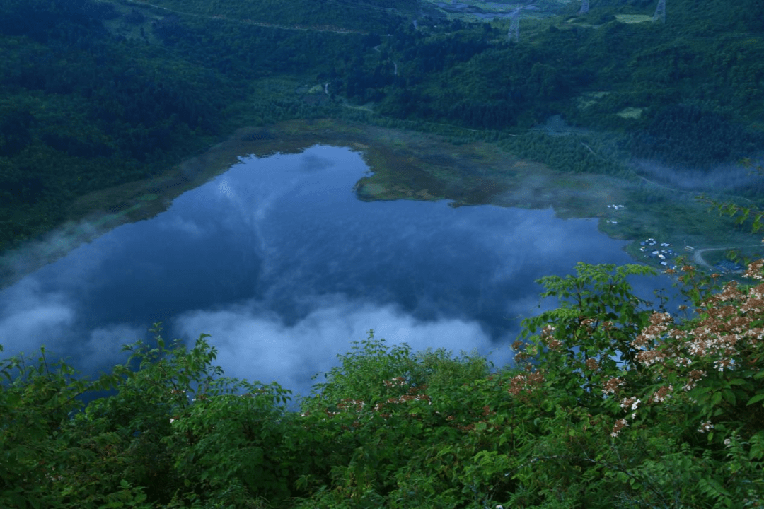 大渡河湿地公园图片