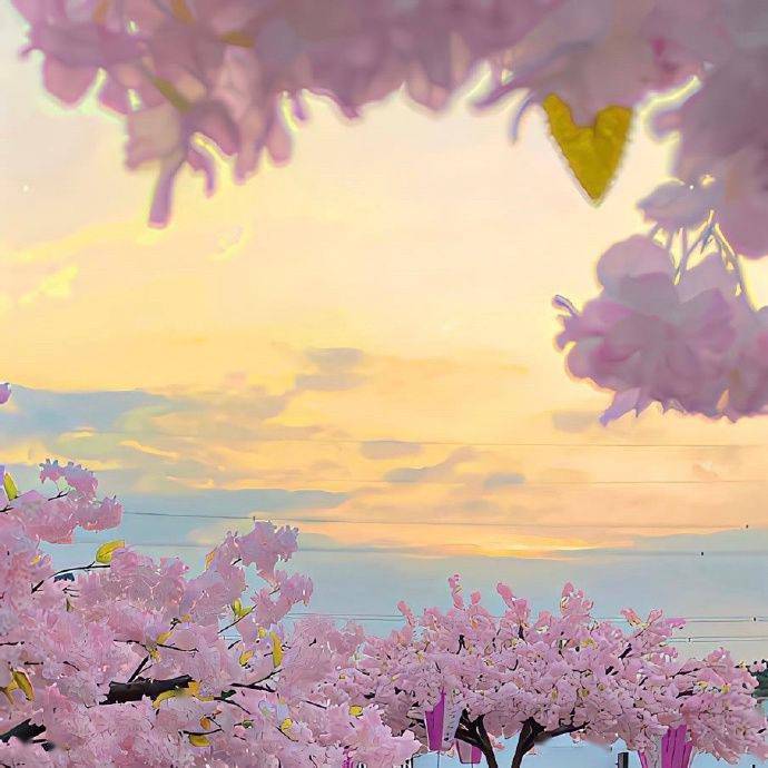 背景图 | ins高级感背景图