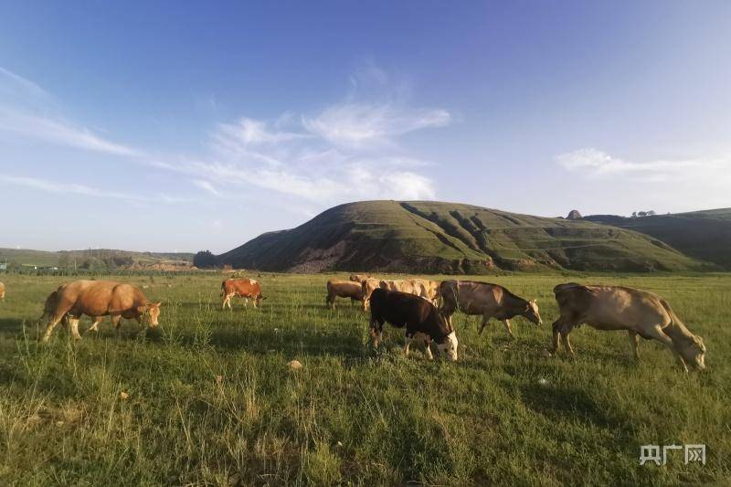 水, 对于从小生活在雁门关外水资源极度贫乏地区的赵尚海而言,有着