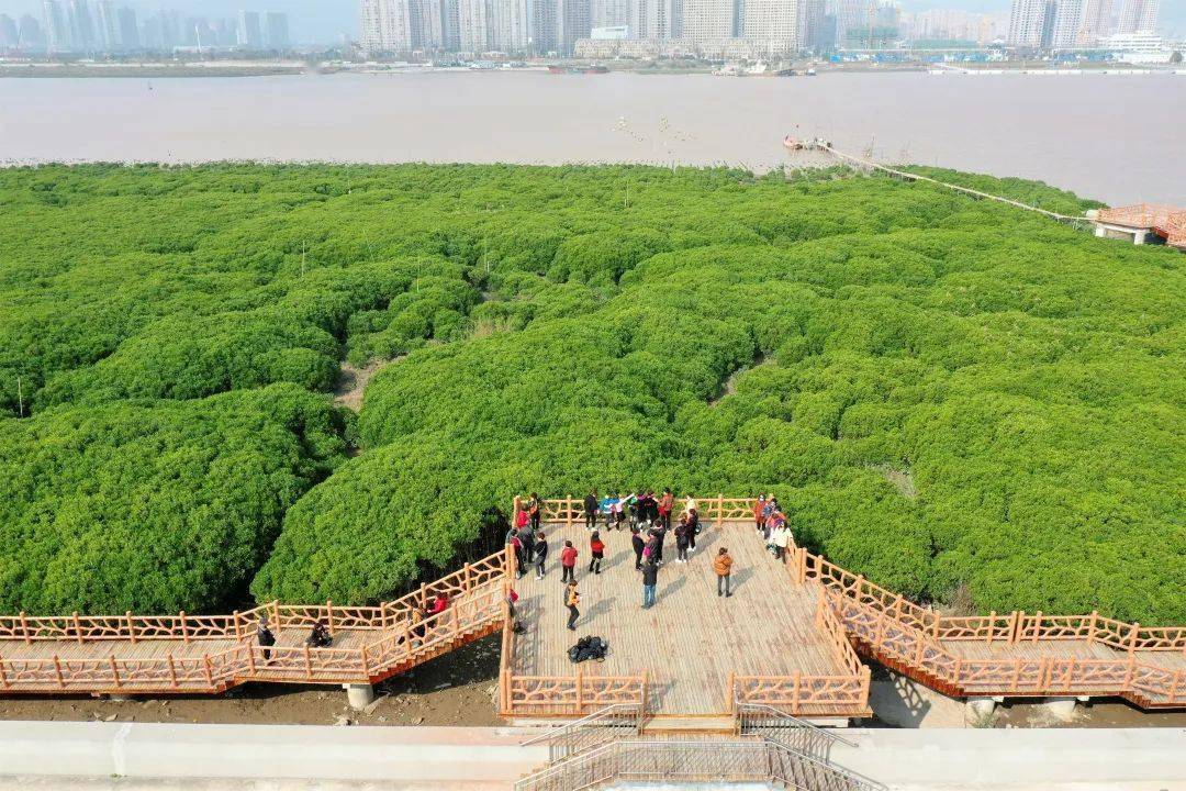 龙港风景图片