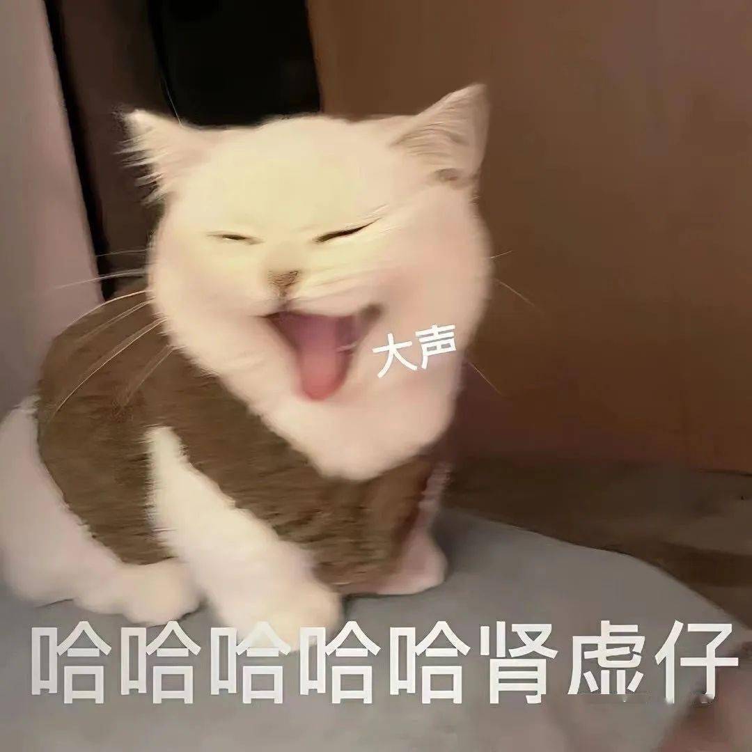 肾虚熊猫头表情包图片