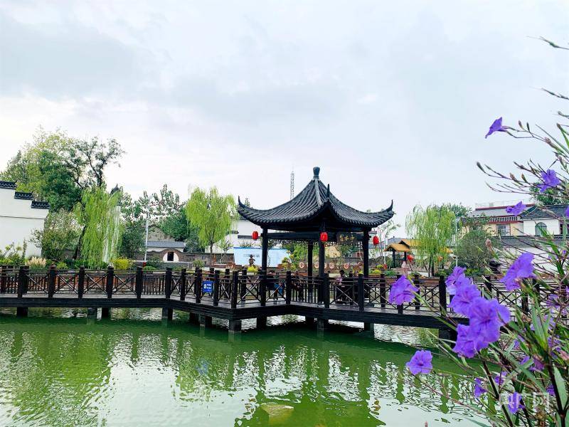 信阳市商城县双椿铺镇:乡村振兴"秀新颜"_寨村_产业_洪晓燕