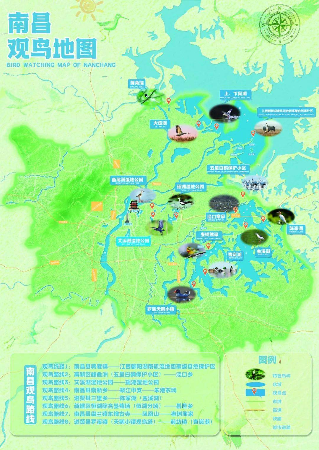 湿地_白鹤_路线