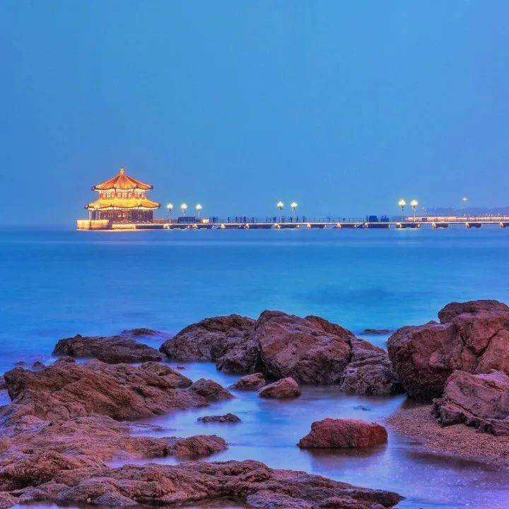 【国旅自组】观西伯利亚天鹅 冬摄山东半岛,青岛,烟台,威海,蓬莱,潍坊