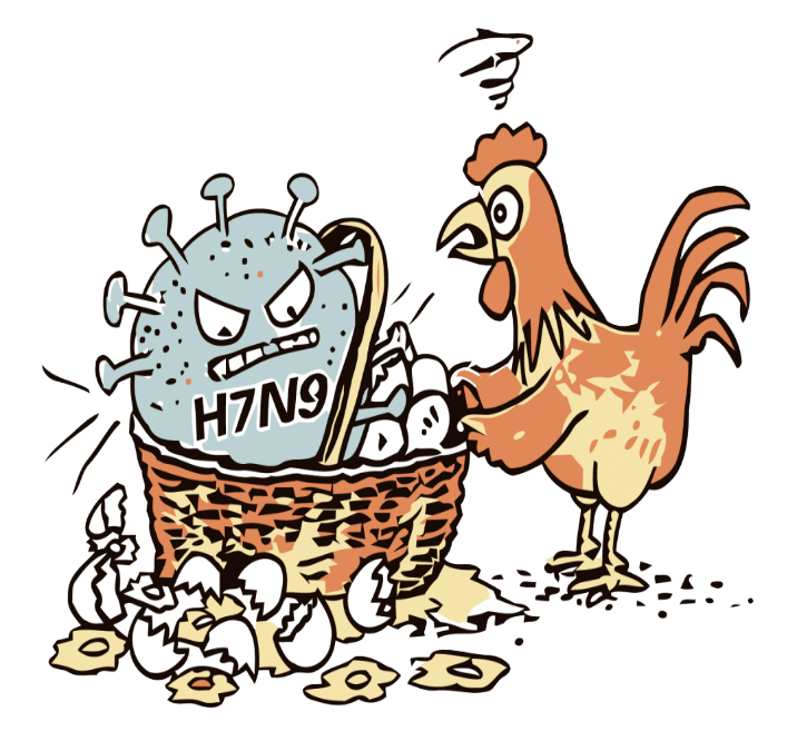 禽流感漫画图片