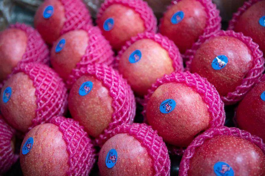 发起组建了白水润泉苹果产业协同联合体,形成了从果品