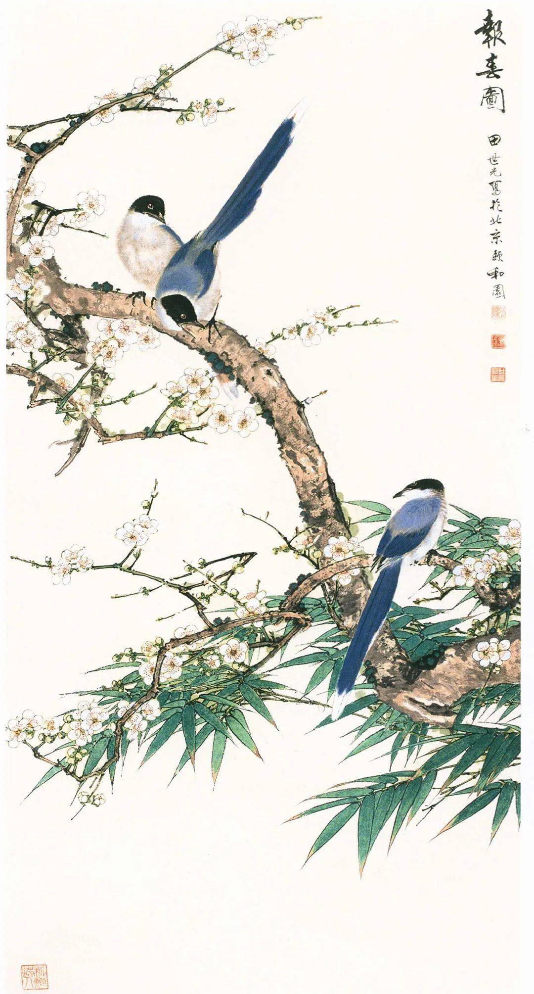 【中华文化】"丹青巨擘"田世光:以工笔花鸟画彰显大国气象_cm_作品