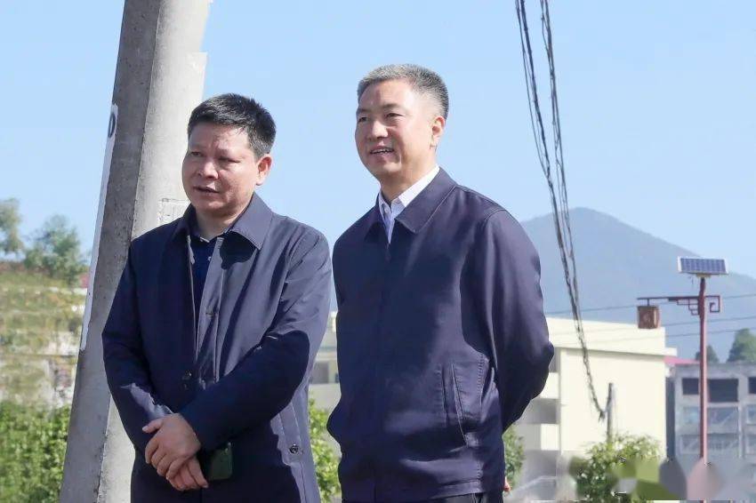 【要闻】曾超群赴新化县调研:真抓实干保质保量完成油菜生产工作_种植