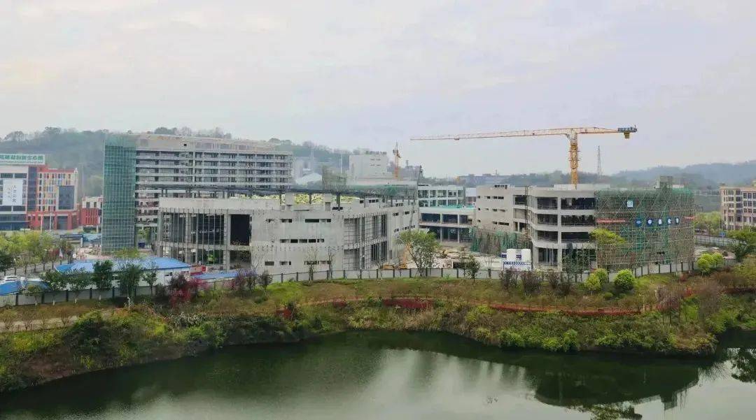 以重庆国际生物城为核心打造1个国家级生物医药产业集群,以两江新区