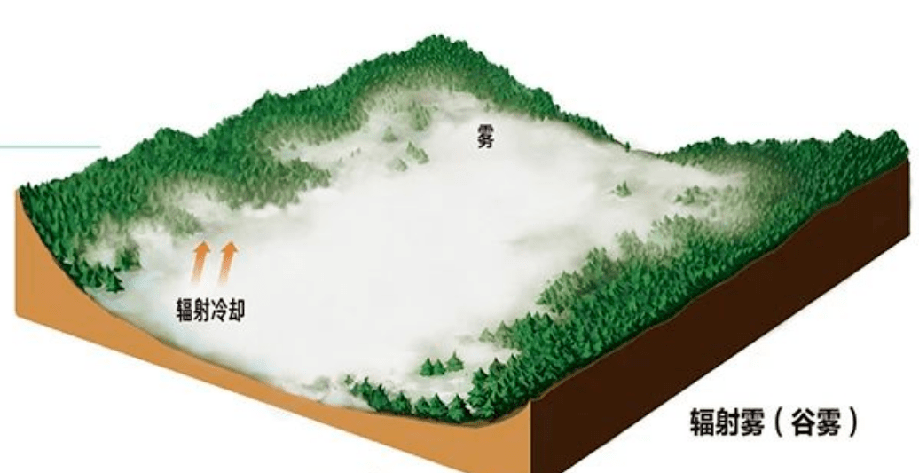 地理视角看雾的各种类型!_空气_冷却_暖流