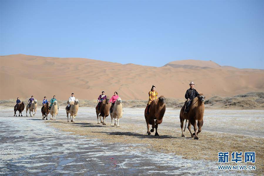 草原上生根 开花乌兰牧骑队伍如雨后春笋般经历了66载春秋洗礼乌兰牧
