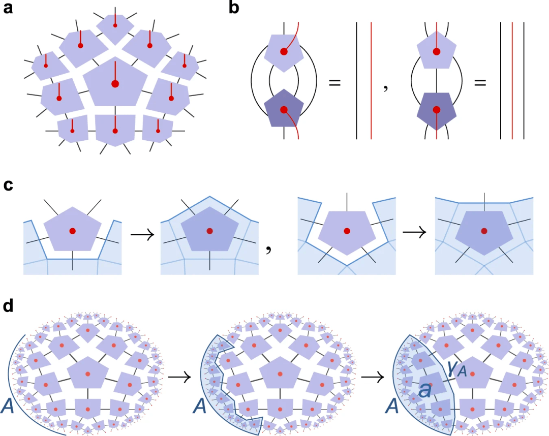 commun.速遞:基於超不變張量網絡的全息編碼_量子_論文_邊界