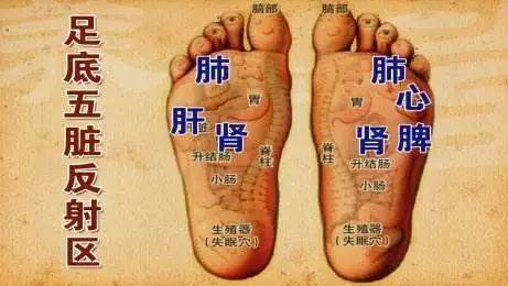 小雪养生:头要凉,脚要温,要做好"两清一补"_头部_因为_颈部