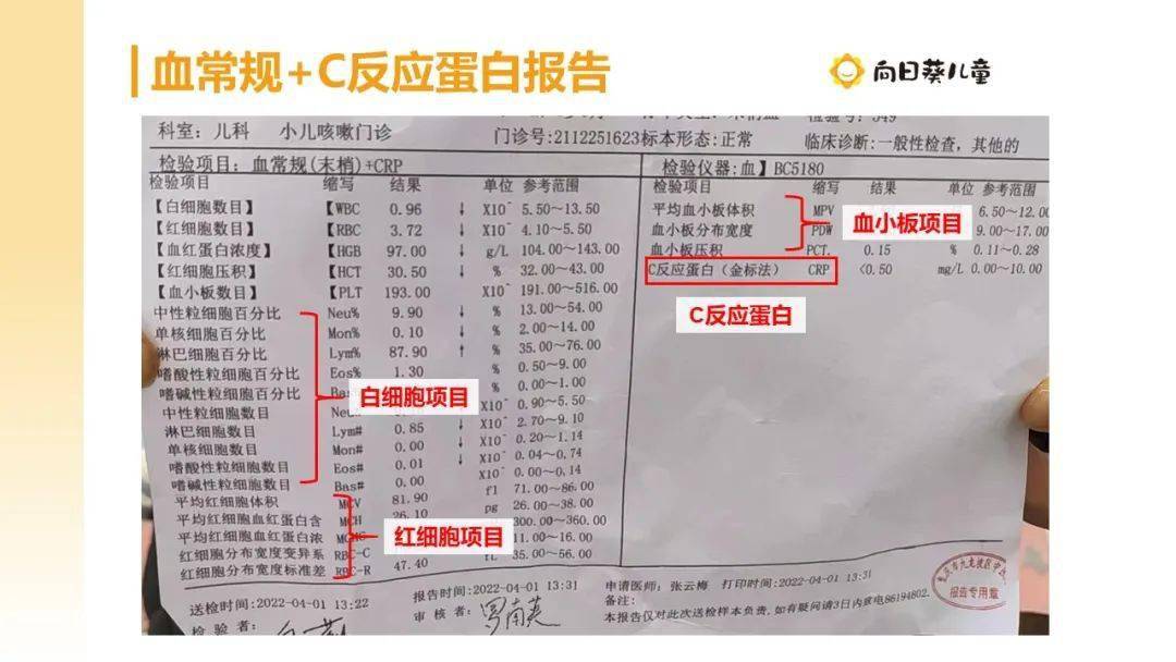 拿到血常規報告該怎麼看?這篇文章你一定要學習_血細胞_醫生_血小板