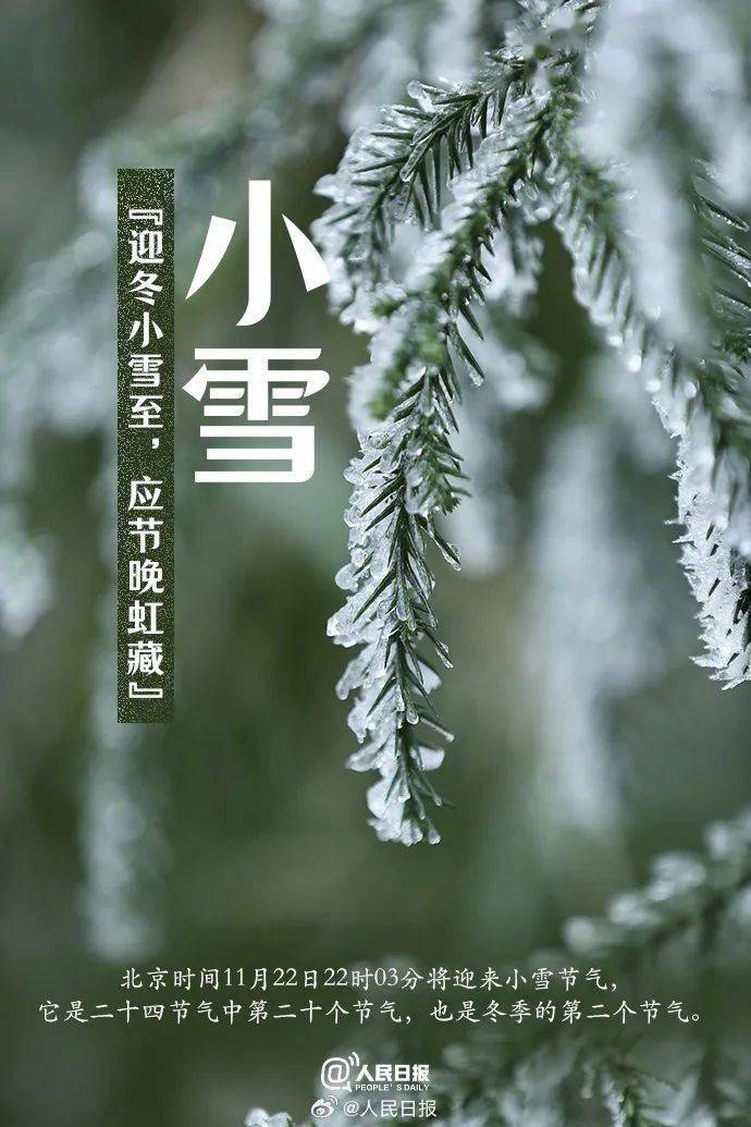 小雪!苏州又将开启"速冻"模式!_气温_气象_冷空气