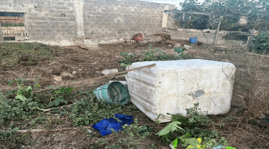 长乐强制拆除违建牛棚_江田镇_违法_工作