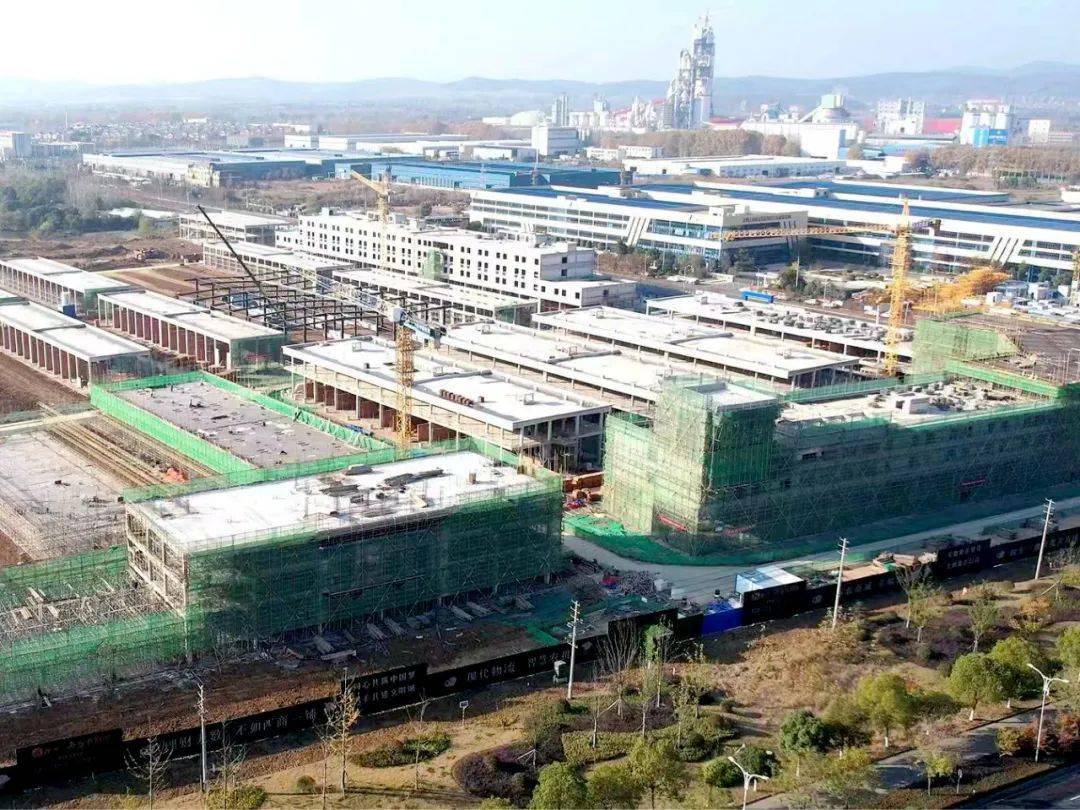 西商动态|安徽滁州市南谯区委副书记,区长王莹一行调研滁州西商农商城