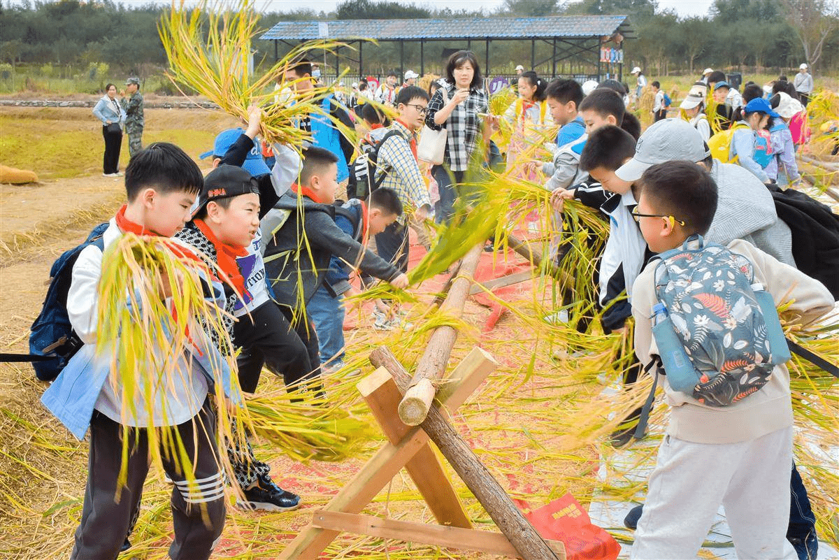 田园研学:萌娃游乐自然的野趣_紫薇_武汉市_稻田