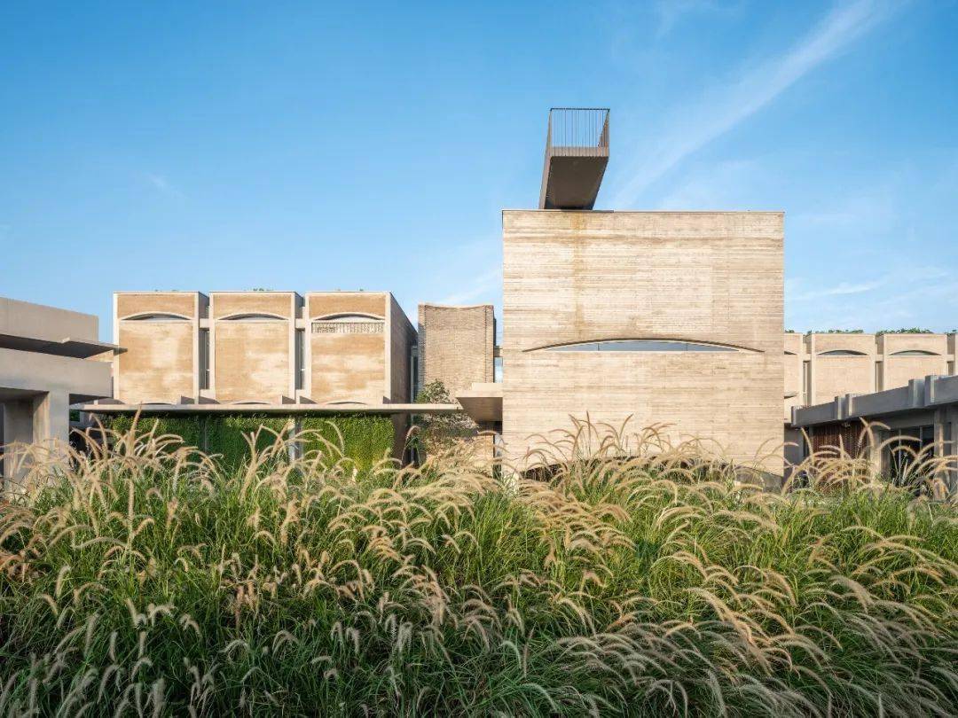 建筑大师张永和打造岭南新地标:8602㎡的"立体荷塘"_屋顶_阳台_步道