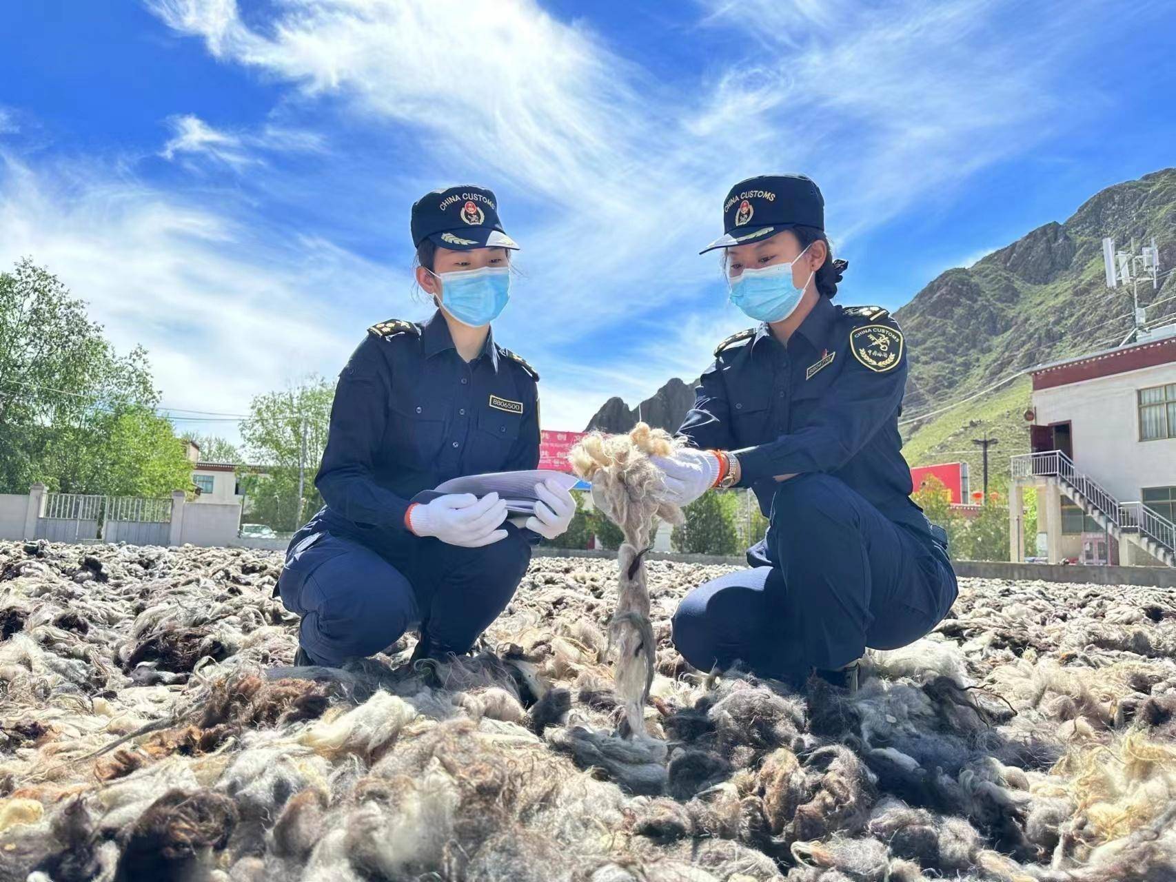 图为拉萨海关关员对特色产品出口进行实地调研.