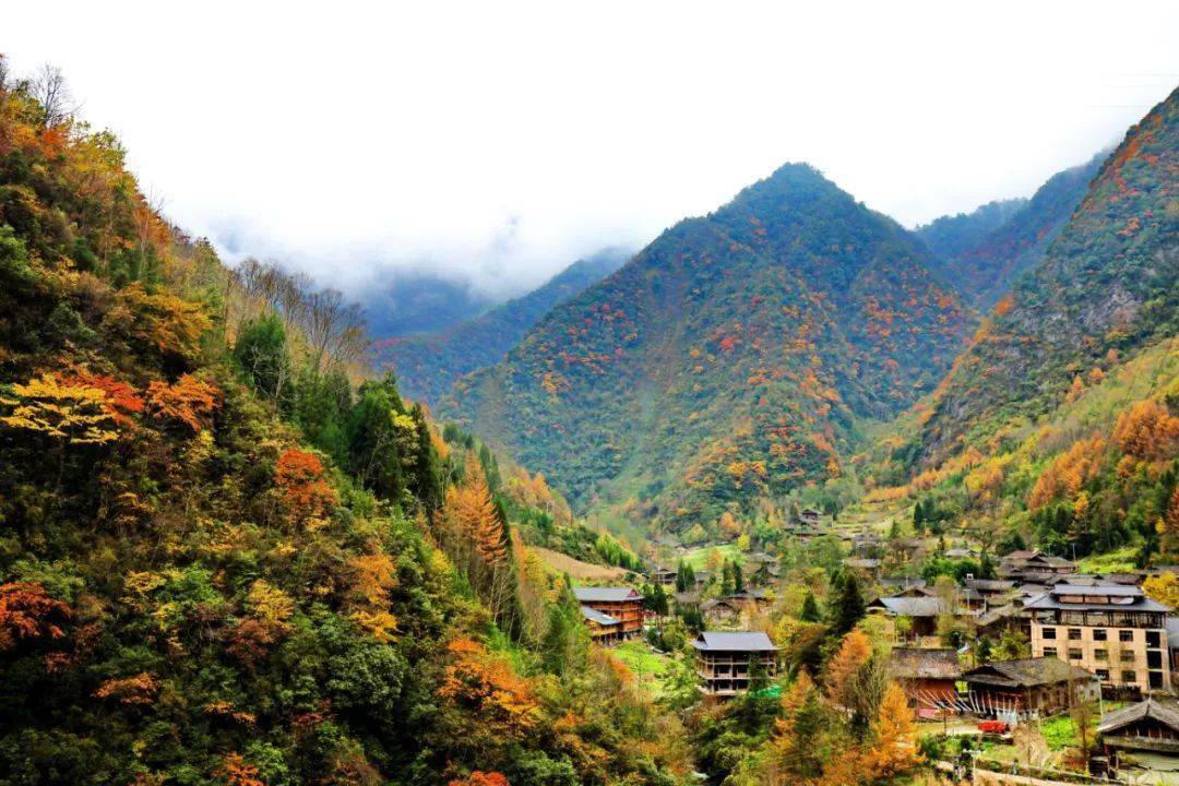 【带你看北川】每日一景(284)北川这些唯美秘境曝光了,初冬的彩林童话