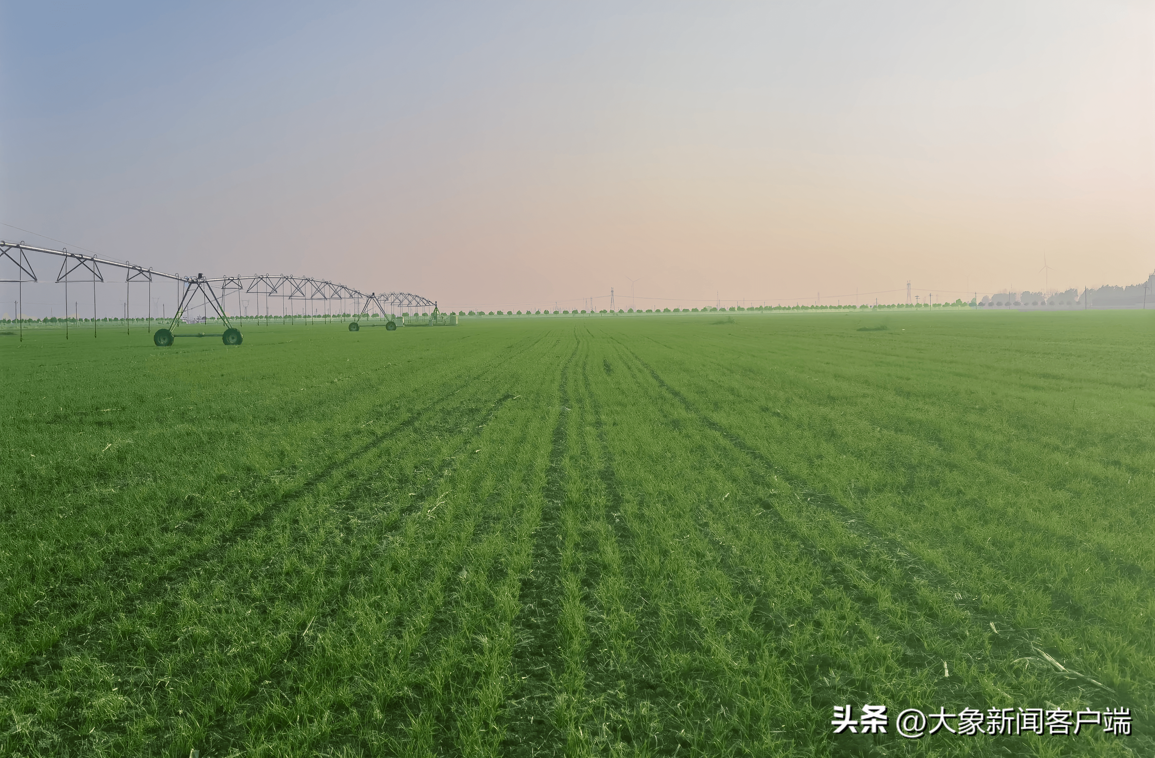 卫星视角下的河南 初冬时节依然绿意满格|遥瞰中国